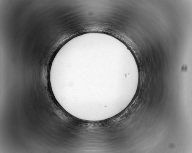X0000103420345200810101024