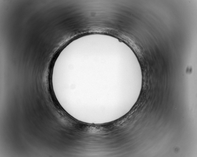 X0000103420346200810101024