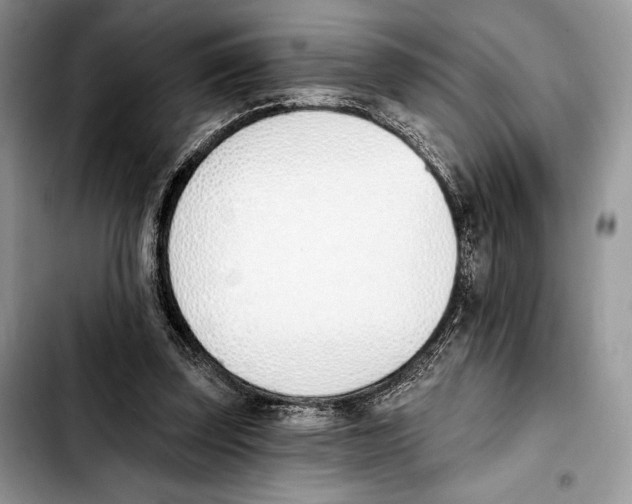 X0000103420347200810101024