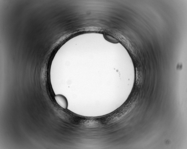 X0000103420348200810101024