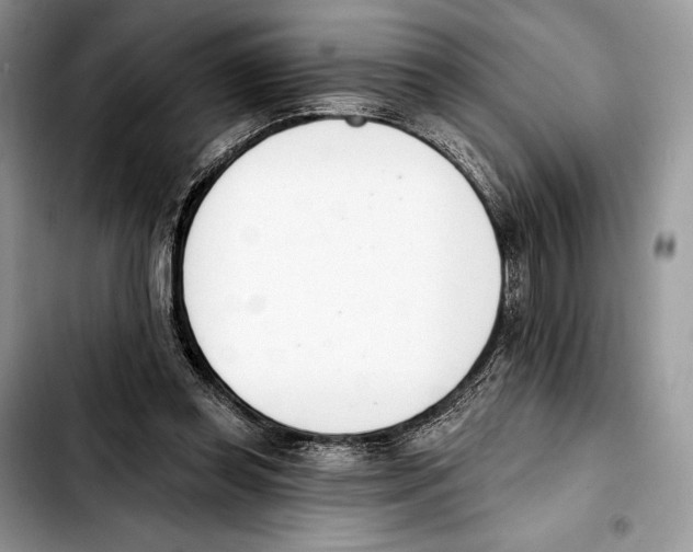 X0000103420349200810101024