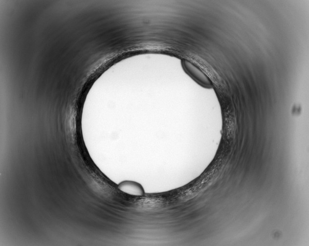 X0000103420350200810101024