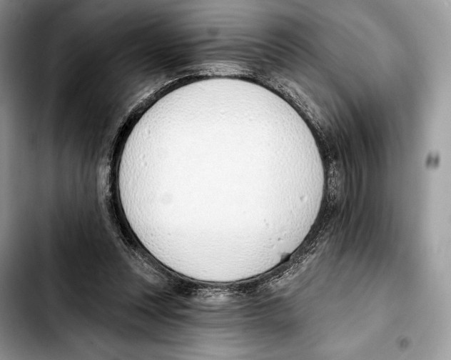 X0000103420351200810101024