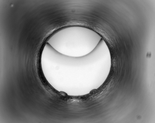 X0000103420352200810101024