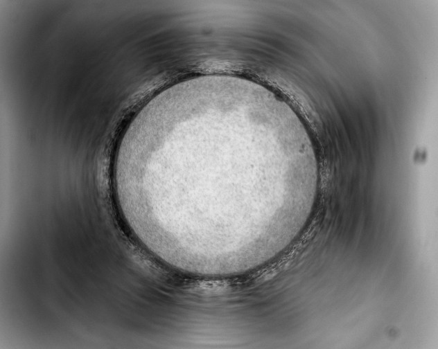 X0000103420353200810101024