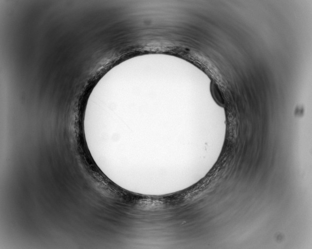 X0000103420354200810101024