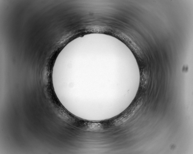 X0000103420355200810101024