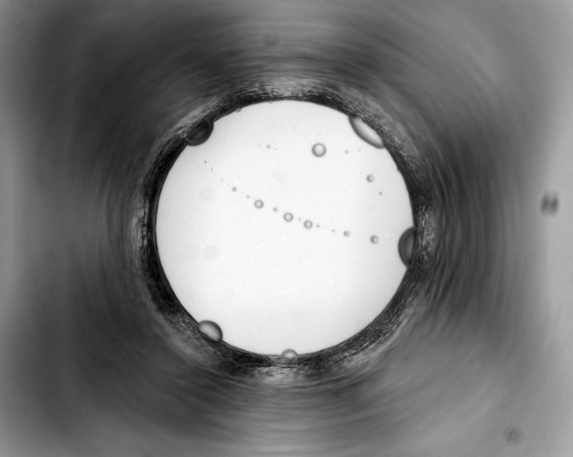 X0000103420356200810101024
