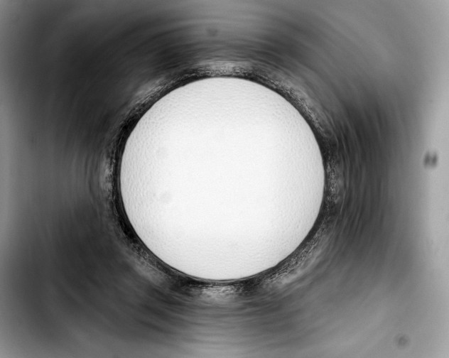 X0000103420357200810101024