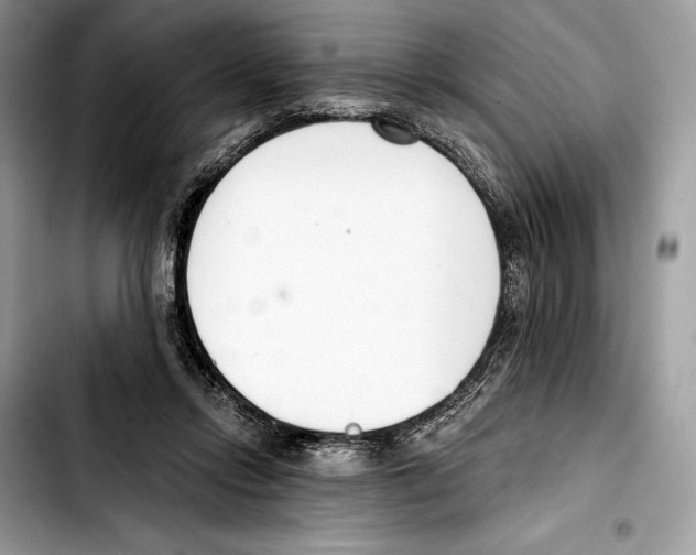 X0000103420358200810101024