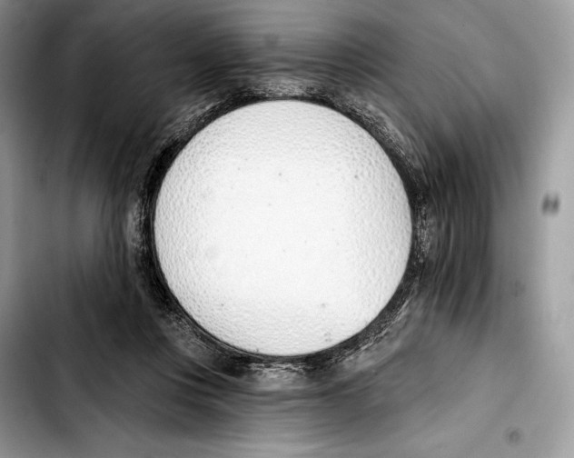 X0000103420359200810101024