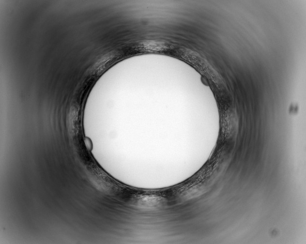 X0000103420360200810101024