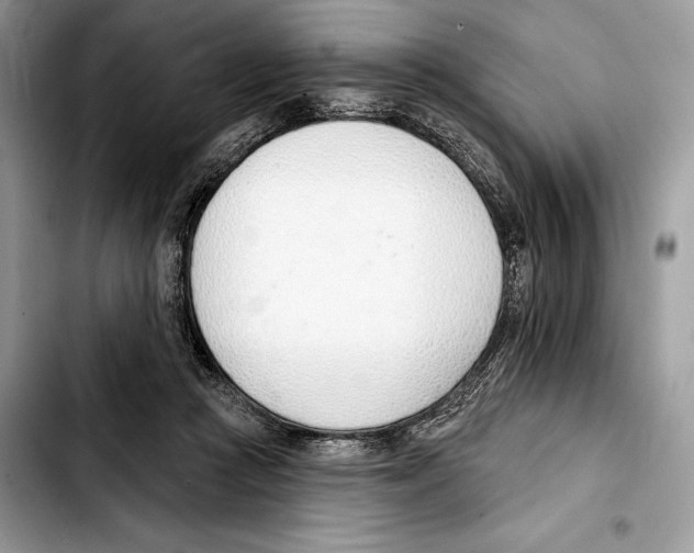 X0000103420361200810101024