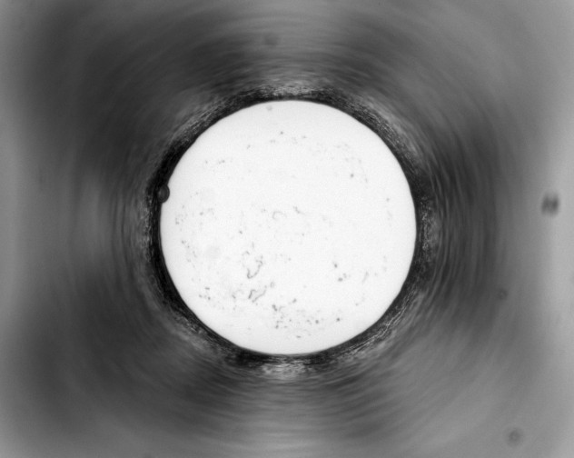 X0000103420362200810101024