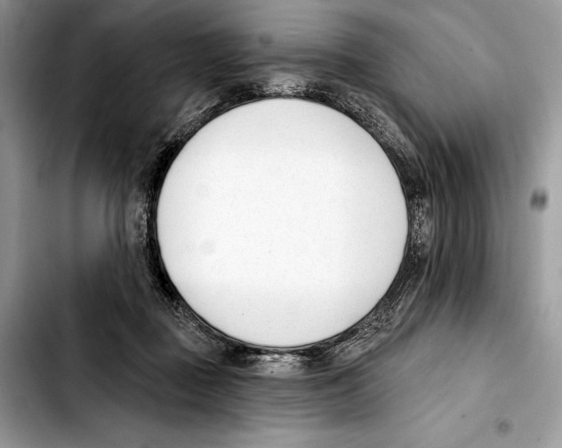 X0000103420363200810101024