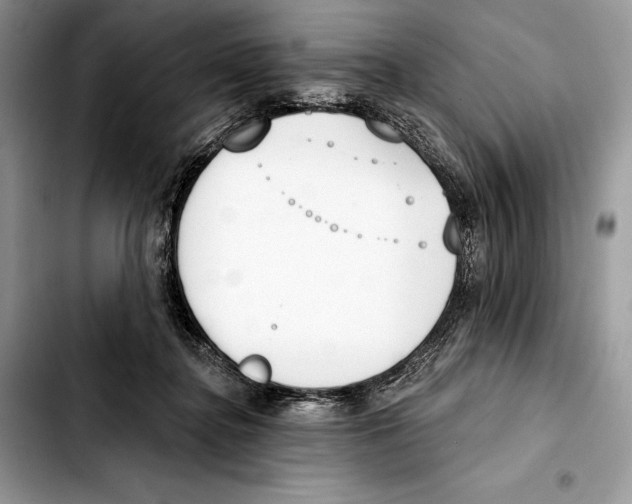 X0000103420364200810101024