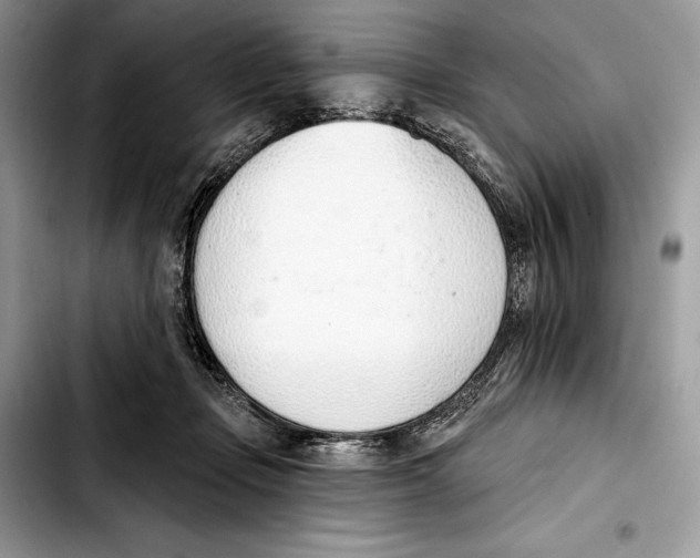 X0000103420365200810101024