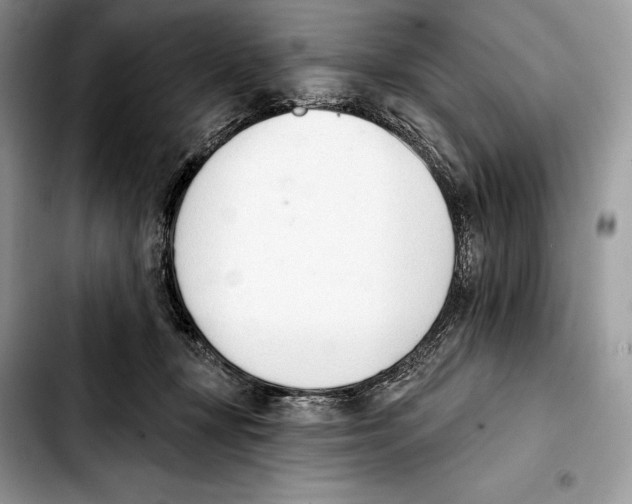 X0000103420367200810101024