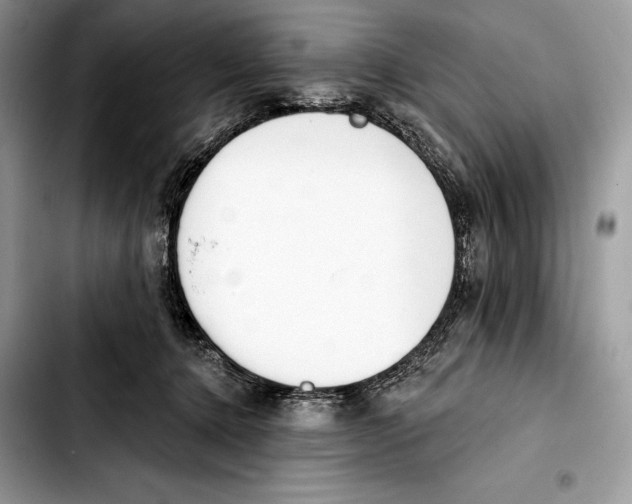 X0000103420368200810101024