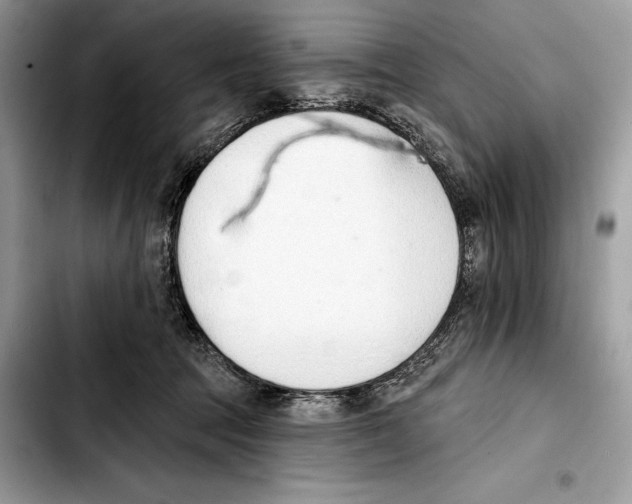X0000103420369200810101024