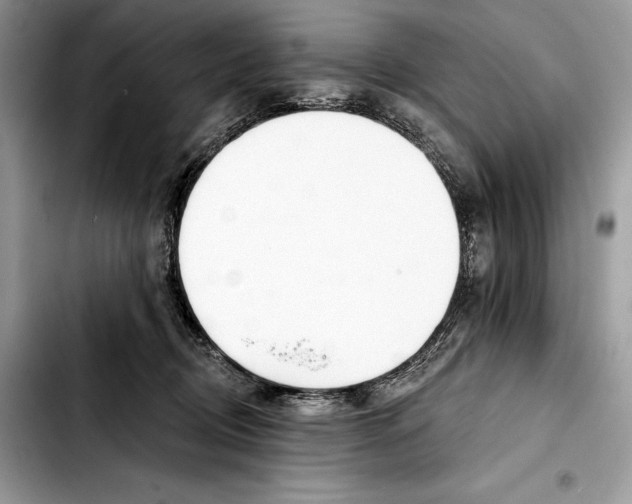 X0000103420370200810101024