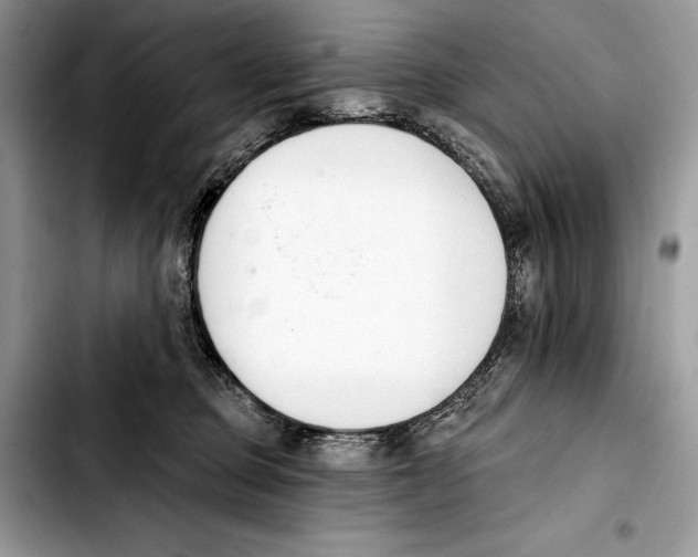 X0000103420373200810101024