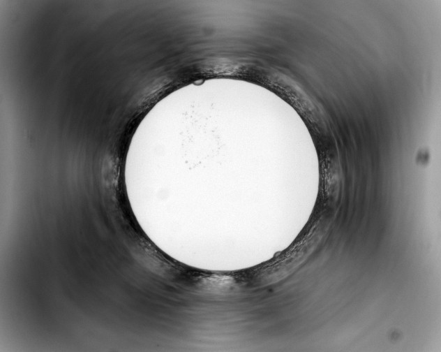 X0000103420374200810101024