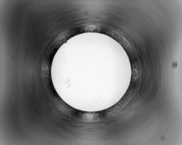 X0000103420375200810101024