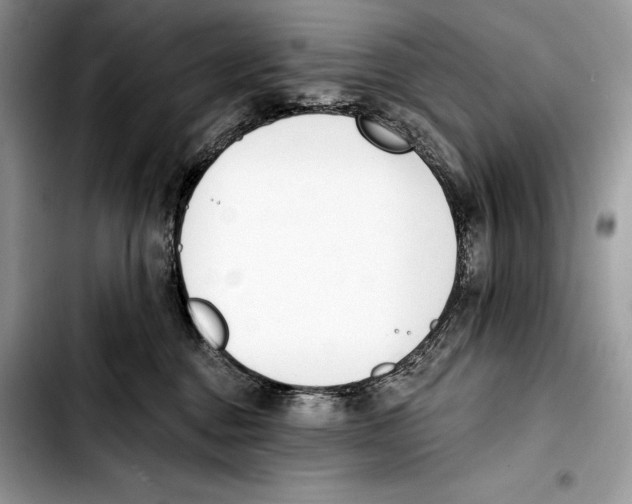 X0000103420376200810101024