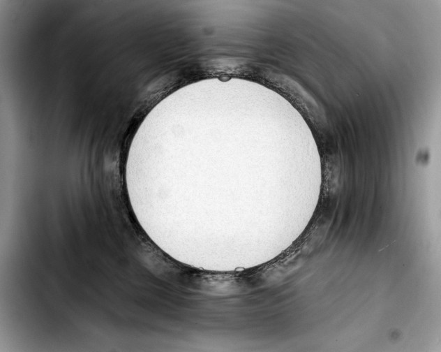 X0000103420377200810101024