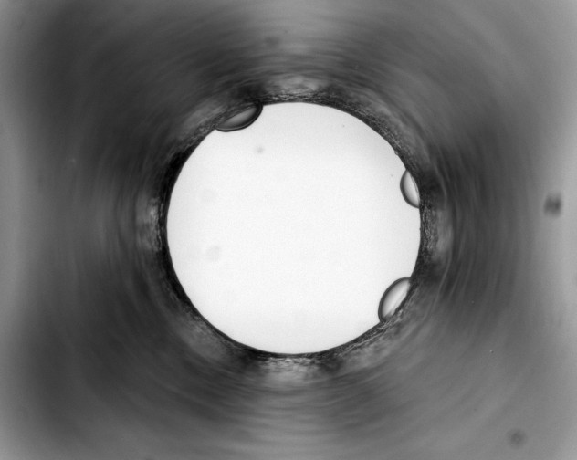 X0000103420378200810101024