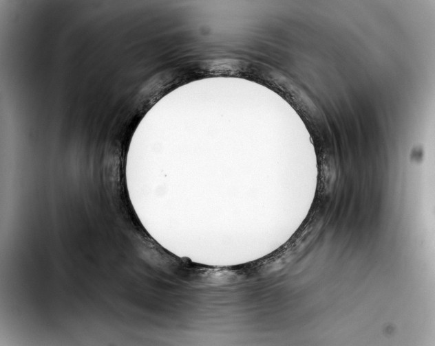 X0000103420379200810101024