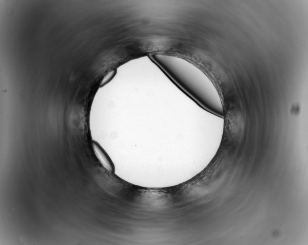 X0000103420380200810101024
