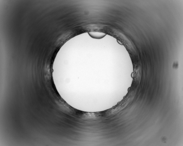 X0000103420381200810101024