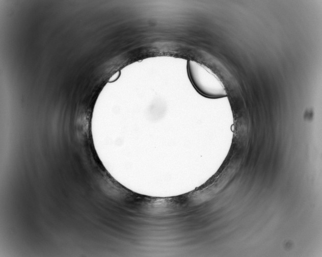 X0000103420382200810101024