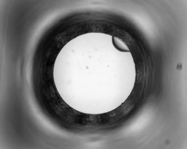 X0000103420383200810101024