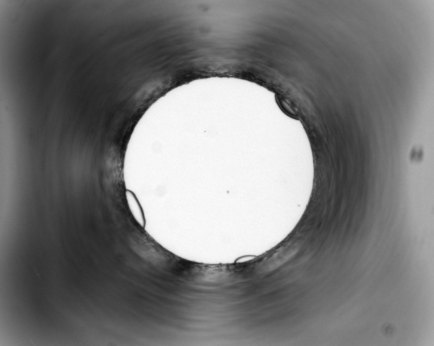 X0000103420384200810101024