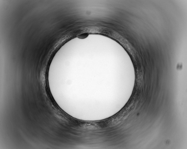 X0000103420386200810101024