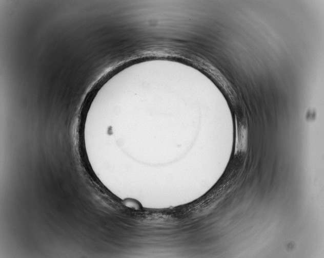 X0000103420387200810101024