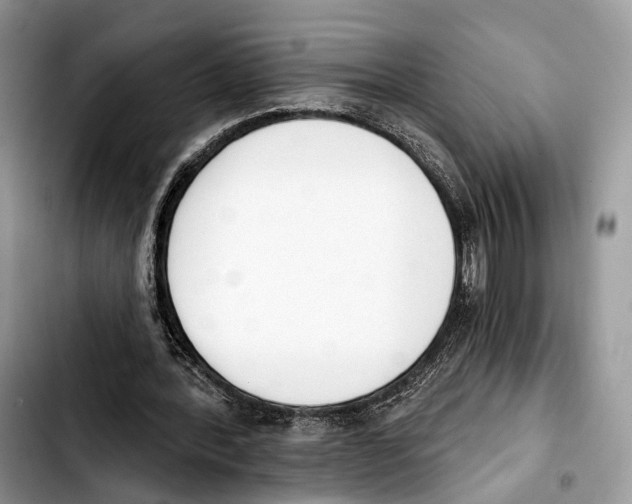 X0000103420388200810101024