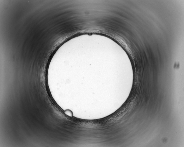 X0000103420389200810101023