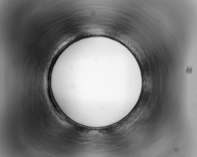 X0000103420390200810101023