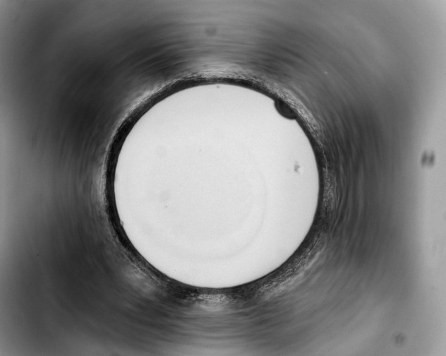 X0000103420391200810101023