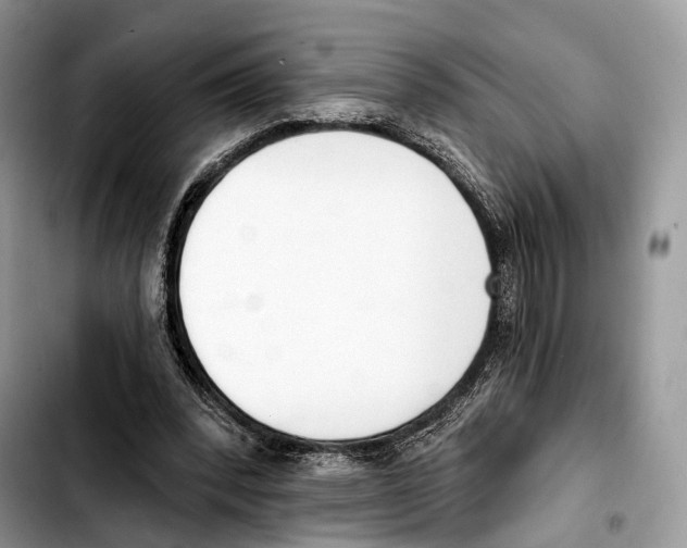 X0000103420392200810101023