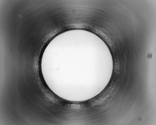 X0000103420394200810101023