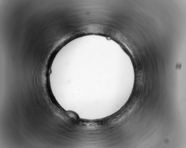 X0000103420395200810101023