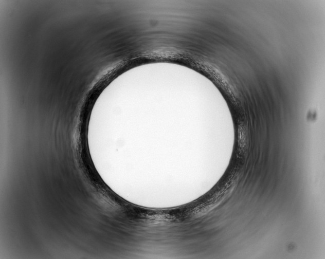 X0000103420396200810101023