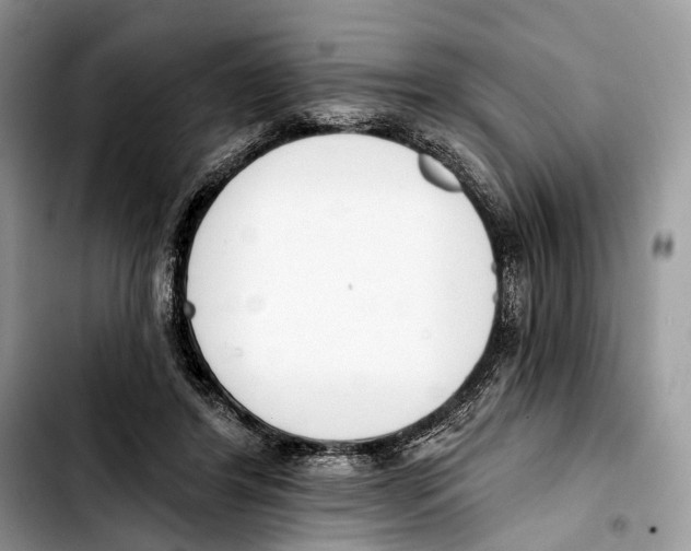 X0000103420404200810101023