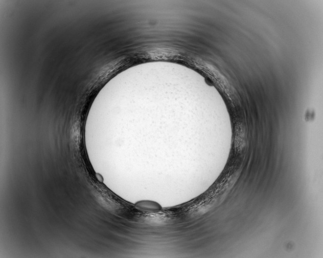 X0000103420405200810101023