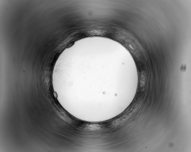 X0000103420409200810101023